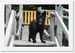 Sept09 Onyx (9) * 700 x 467 * (109KB)